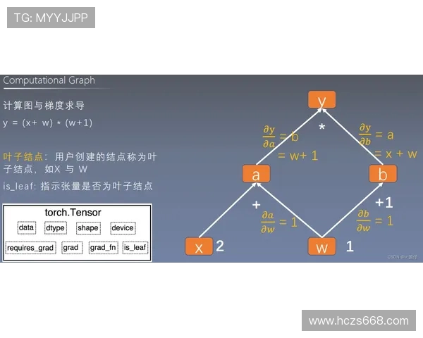 法甲球员晋升路径分析及其体育竞技发展机制