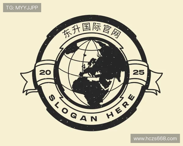 了解东升国际